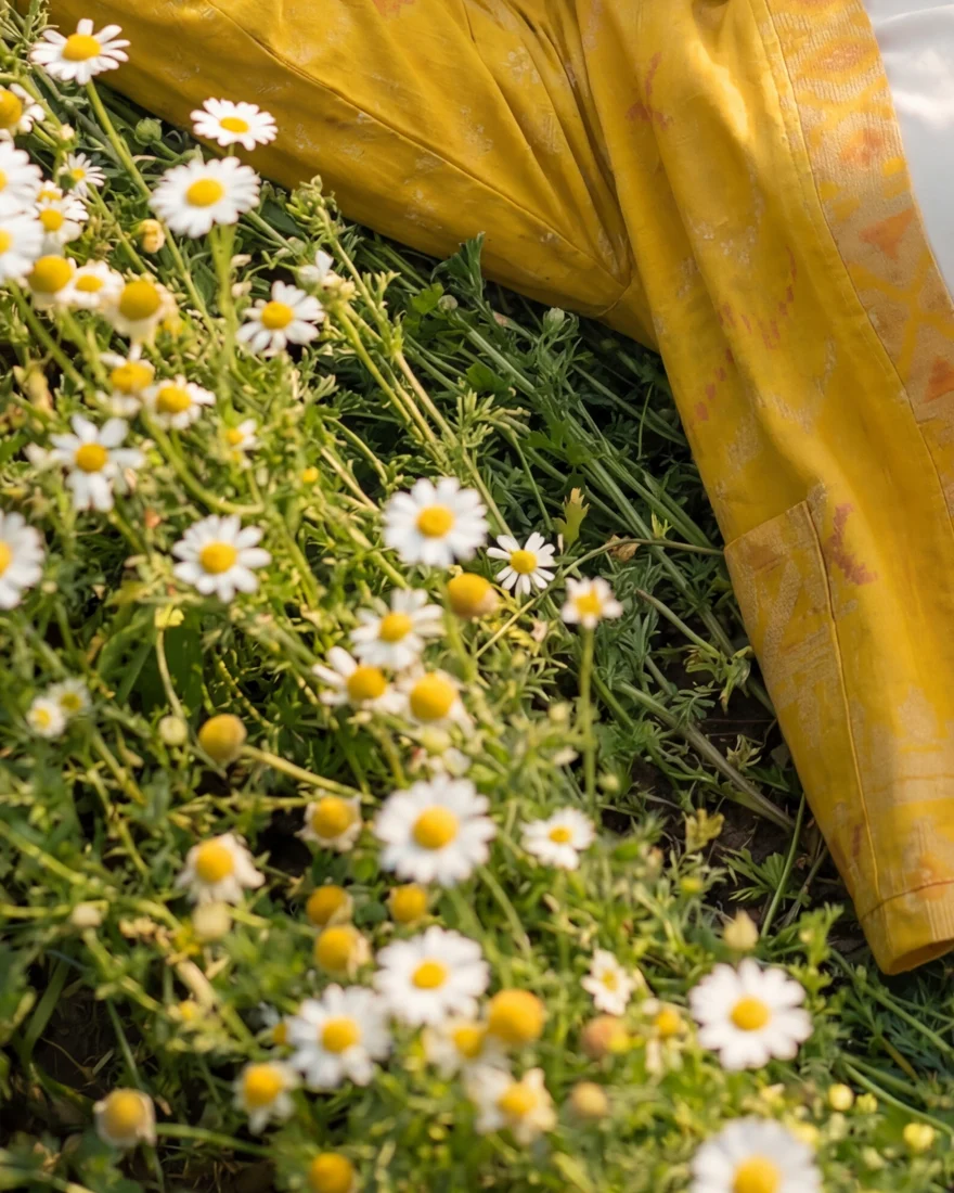 Yellow jacket sleeve resting on daisies